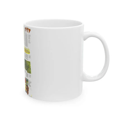 USA - Northwest 2 (1973) (Map) White Coffee Mug-Go Mug Yourself