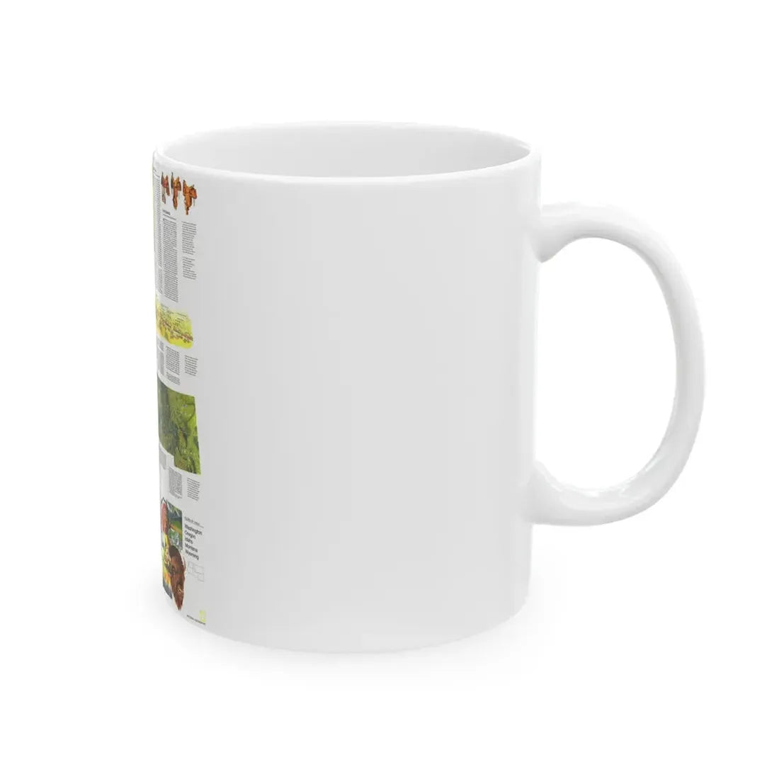 USA - Northwest 2 (1973) (Map) White Coffee Mug - Go Mug Yourself