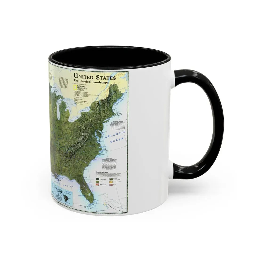USA - The Physical Landscape (1996) (Map) Accent Coffee Mug - Go Mug Yourself