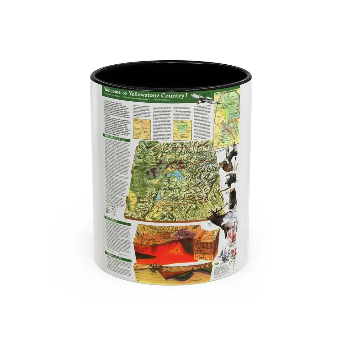 USA - Yellowstone and Grand Teton 2 (1989) (Map) Accent Coffee Mug 11oz Black - Go Mug Yourself