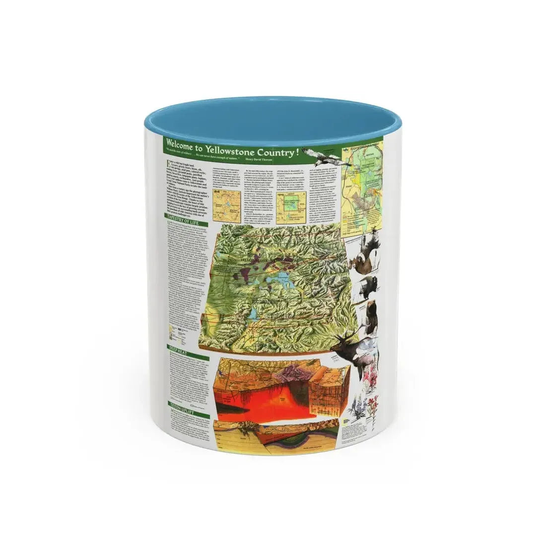 USA - Yellowstone and Grand Teton 2 (1989) (Map) Accent Coffee Mug 11oz Light Blue - Go Mug Yourself