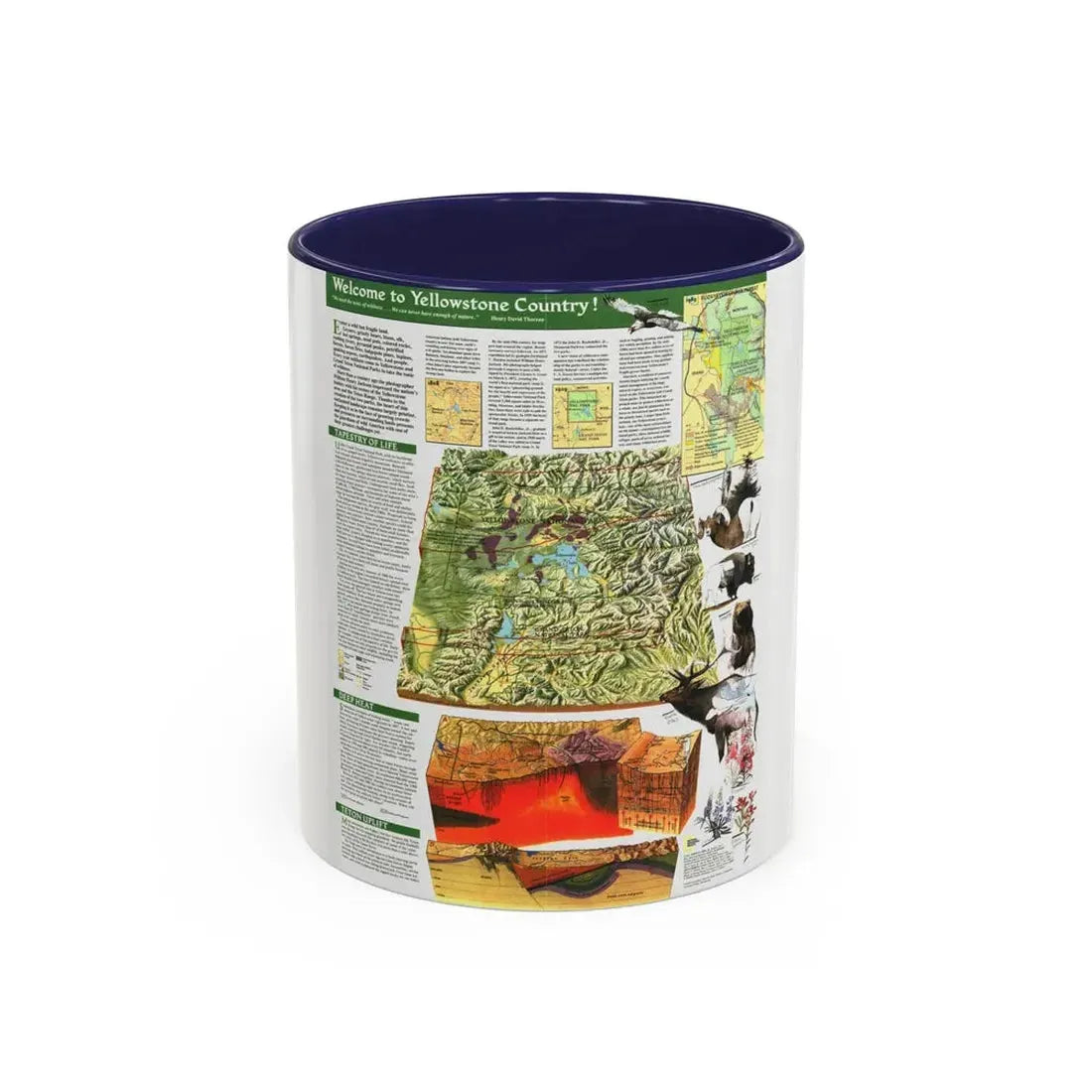 USA - Yellowstone and Grand Teton 2 (1989) (Map) Accent Coffee Mug 11oz Navy - Go Mug Yourself