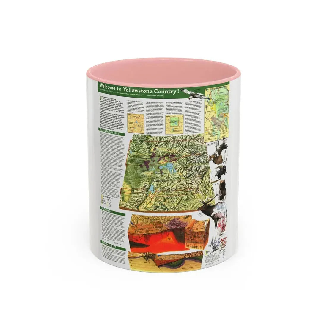 USA - Yellowstone and Grand Teton 2 (1989) (Map) Accent Coffee Mug 11oz Pink - Go Mug Yourself