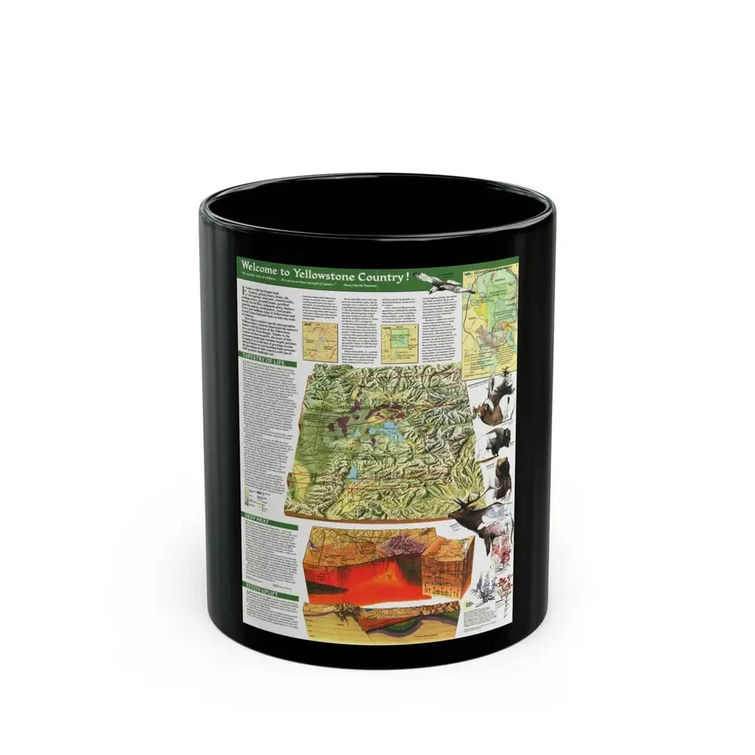USA - Yellowstone and Grand Teton 2 (1989) (Map) Black Coffee Mug 11oz - Go Mug Yourself