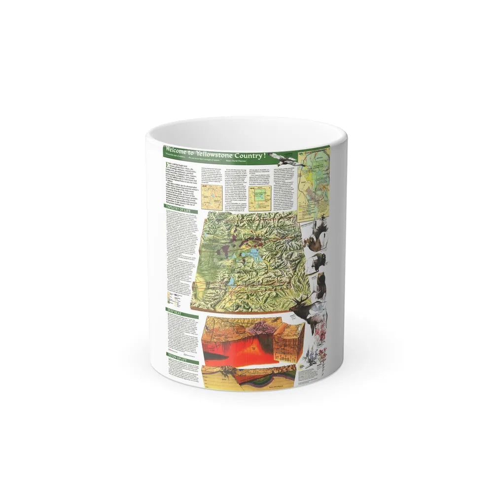 USA - Yellowstone and Grand Teton 2 (1989) (Map) Color Changing Mug 11oz-Go Mug Yourself