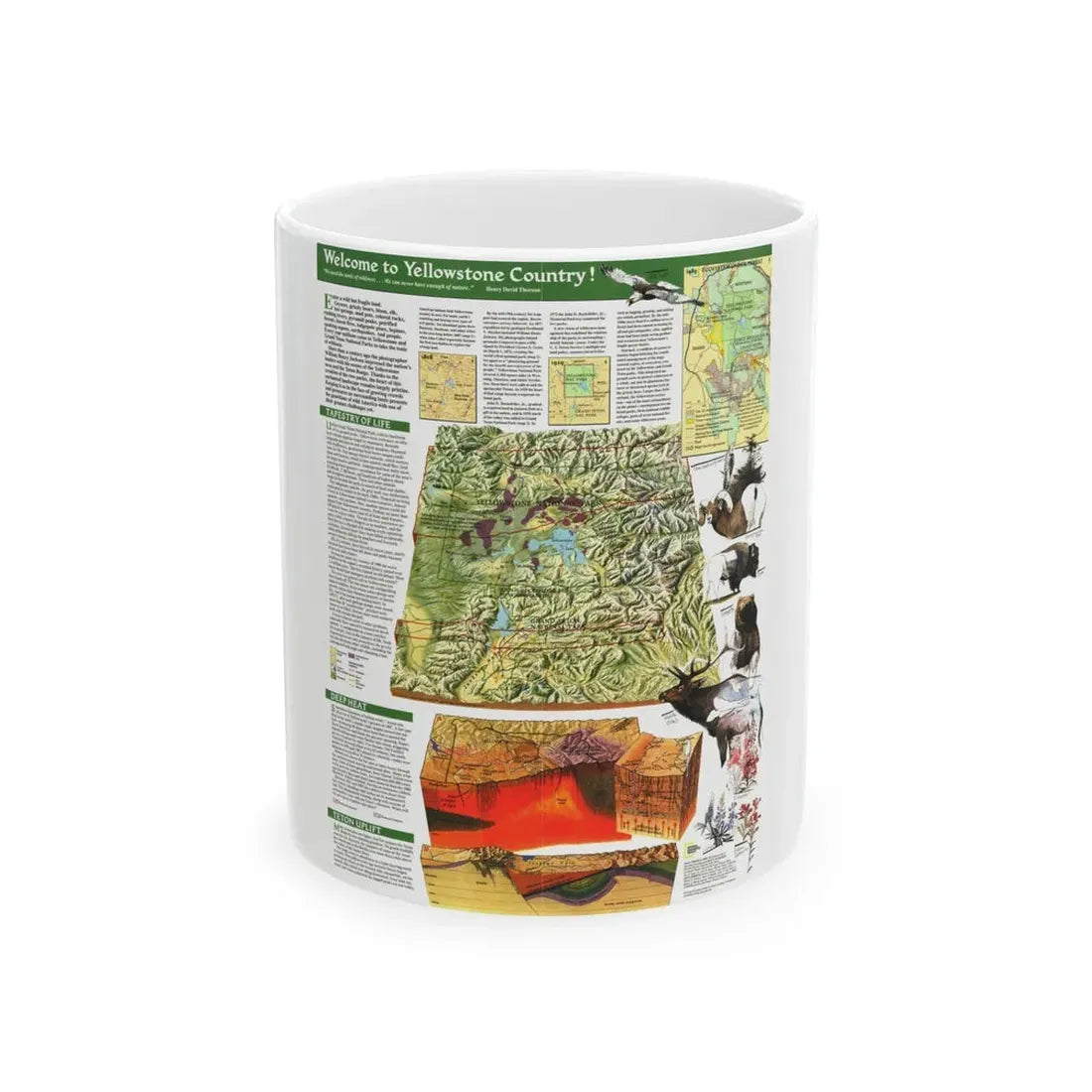 USA - Yellowstone and Grand Teton 2 (1989) (Map) White Coffee Mug 11oz - Go Mug Yourself
