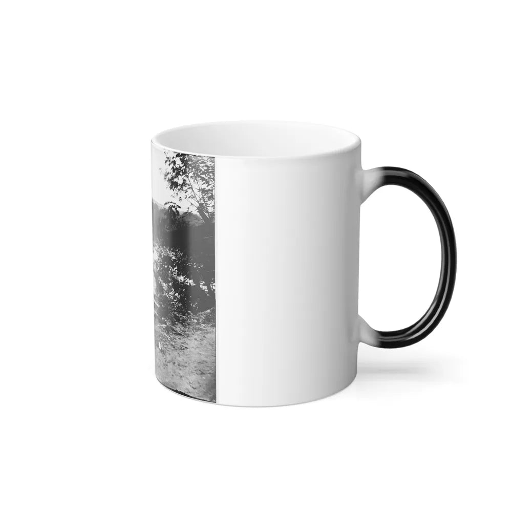 View on the James River, Looking Toward Manchester, Richmond, Va. (U.S. Civil War) Color Changing Coffee Mug 11oz-Go Mug Yourself
