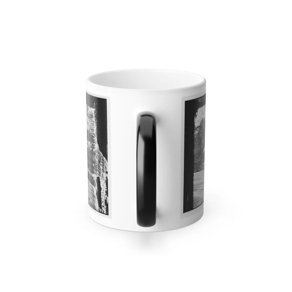 Washington, D.C. Presidential Reviewing Stand, With Guests and Guard (U.S. Civil War) Color Changing Coffee Mug 11oz-Go Mug Yourself