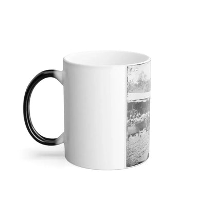 Washington, D.C. Crowd in Front of Presidential Reviewing Stand (U.S. Civil War) Color Changing Coffee Mug 11oz - Go Mug Yourself