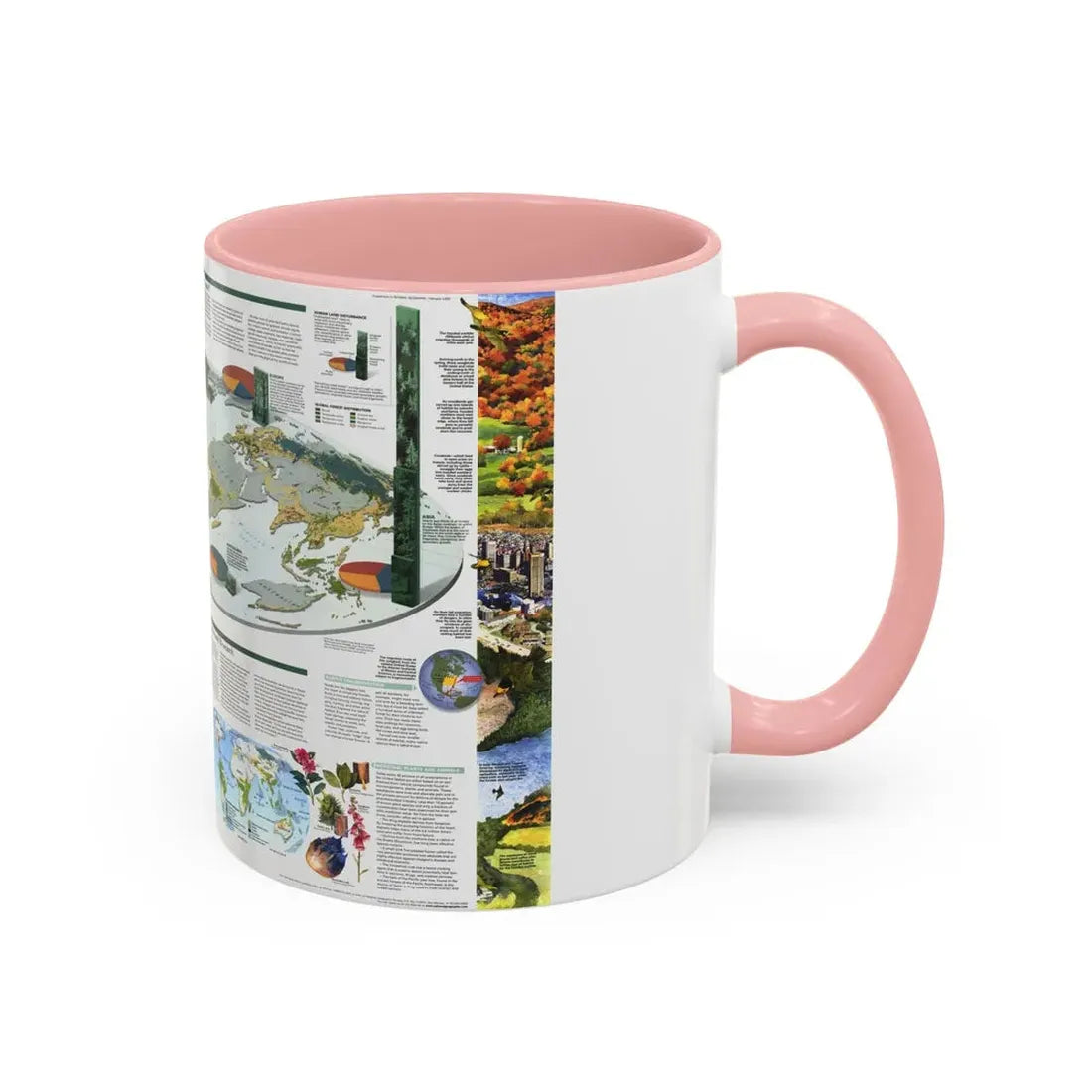 World Map - Biodiversity (1999) (Map) Accent Coffee Mug - Go Mug Yourself
