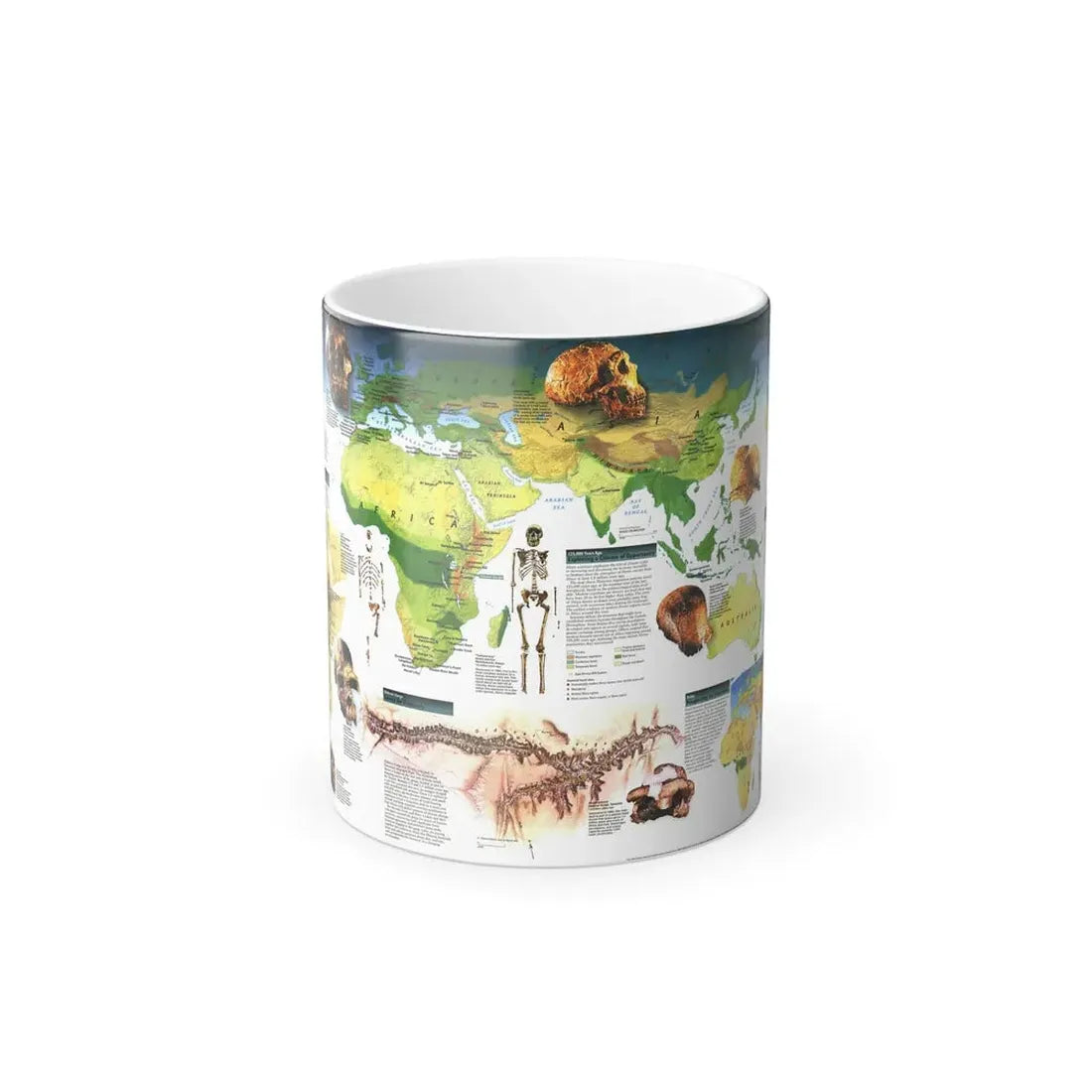 World Map - Dawn of Humans (1997) (Map) Color Changing Mug 11oz Default Title - Go Mug Yourself