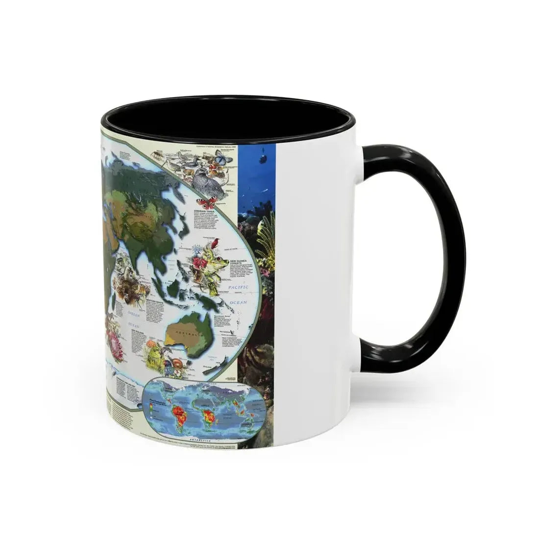 World Map - Diversity of Life (1999) (Map) Accent Coffee Mug - Go Mug Yourself