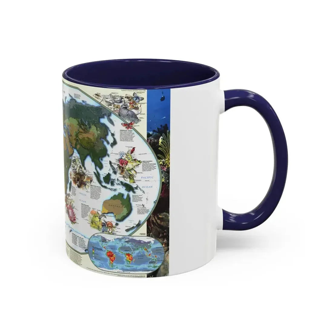 World Map - Diversity of Life (1999) (Map) Accent Coffee Mug - Go Mug Yourself