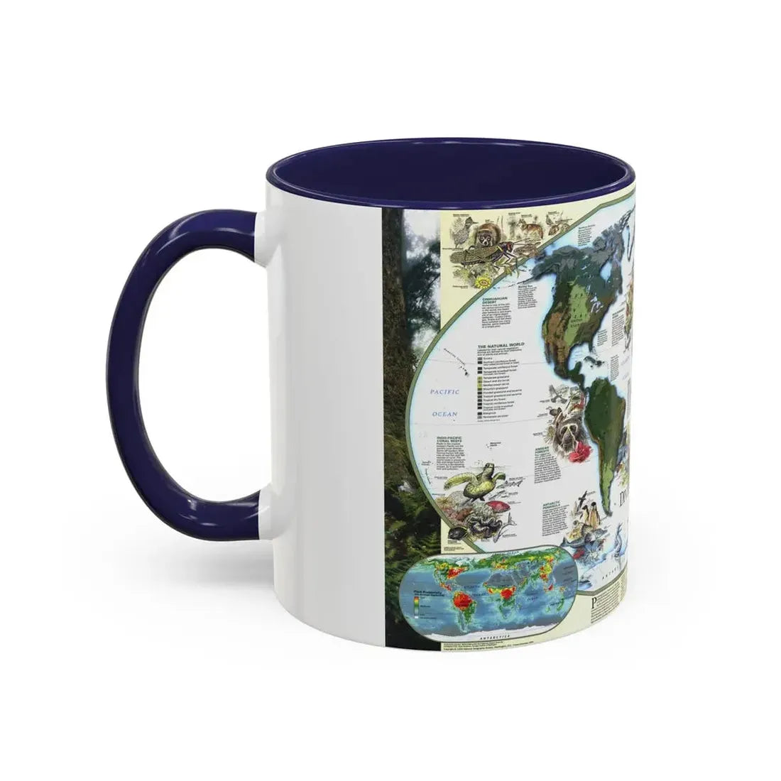 World Map - Diversity of Life (1999) (Map) Accent Coffee Mug - Go Mug Yourself