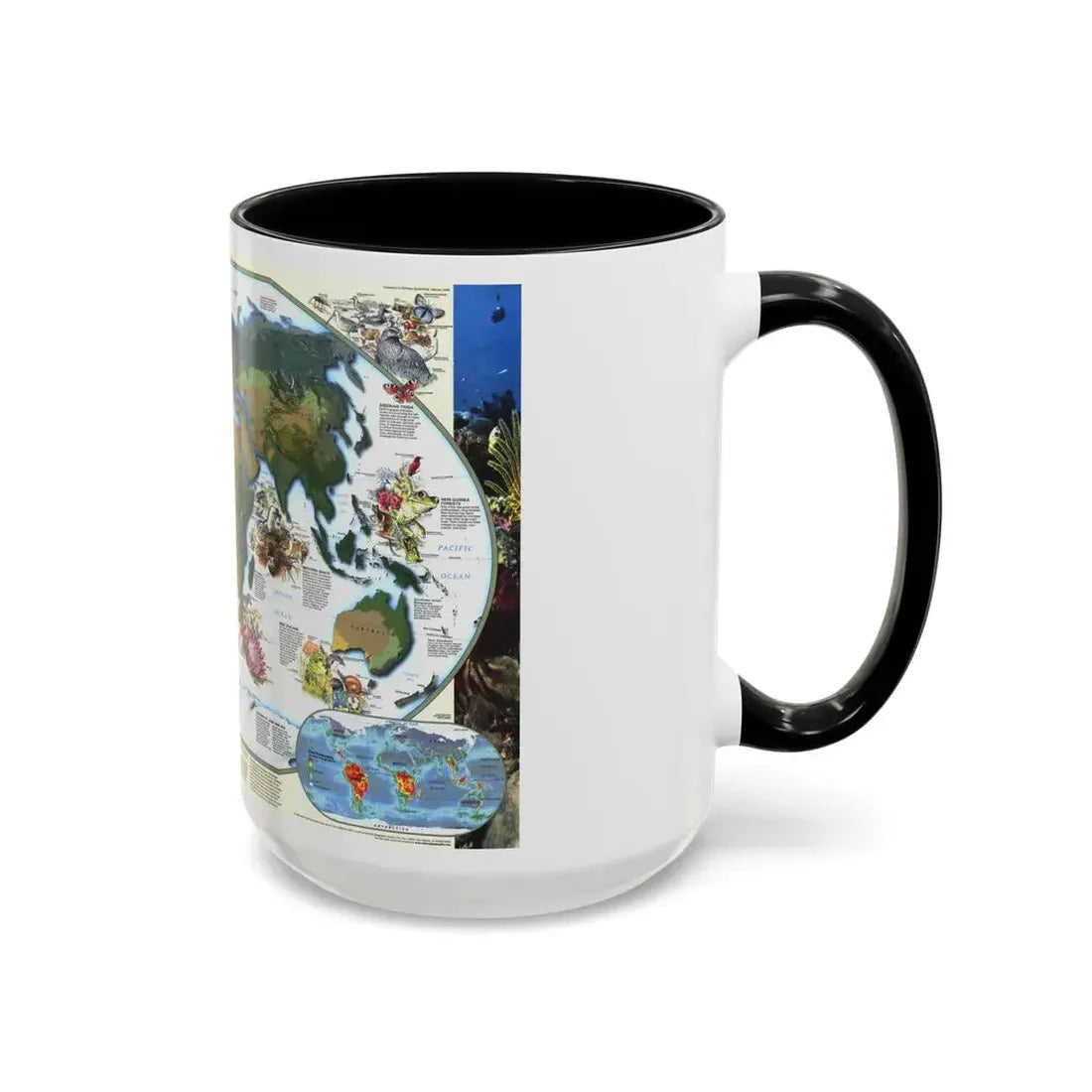 World Map - Diversity of Life (1999) (Map) Accent Coffee Mug - Go Mug Yourself