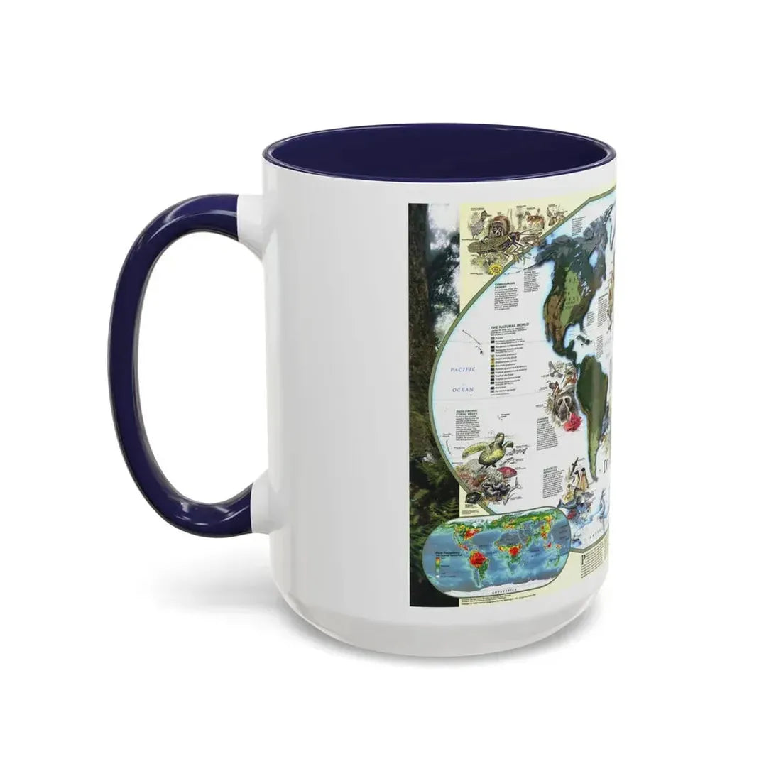 World Map - Diversity of Life (1999) (Map) Accent Coffee Mug - Go Mug Yourself