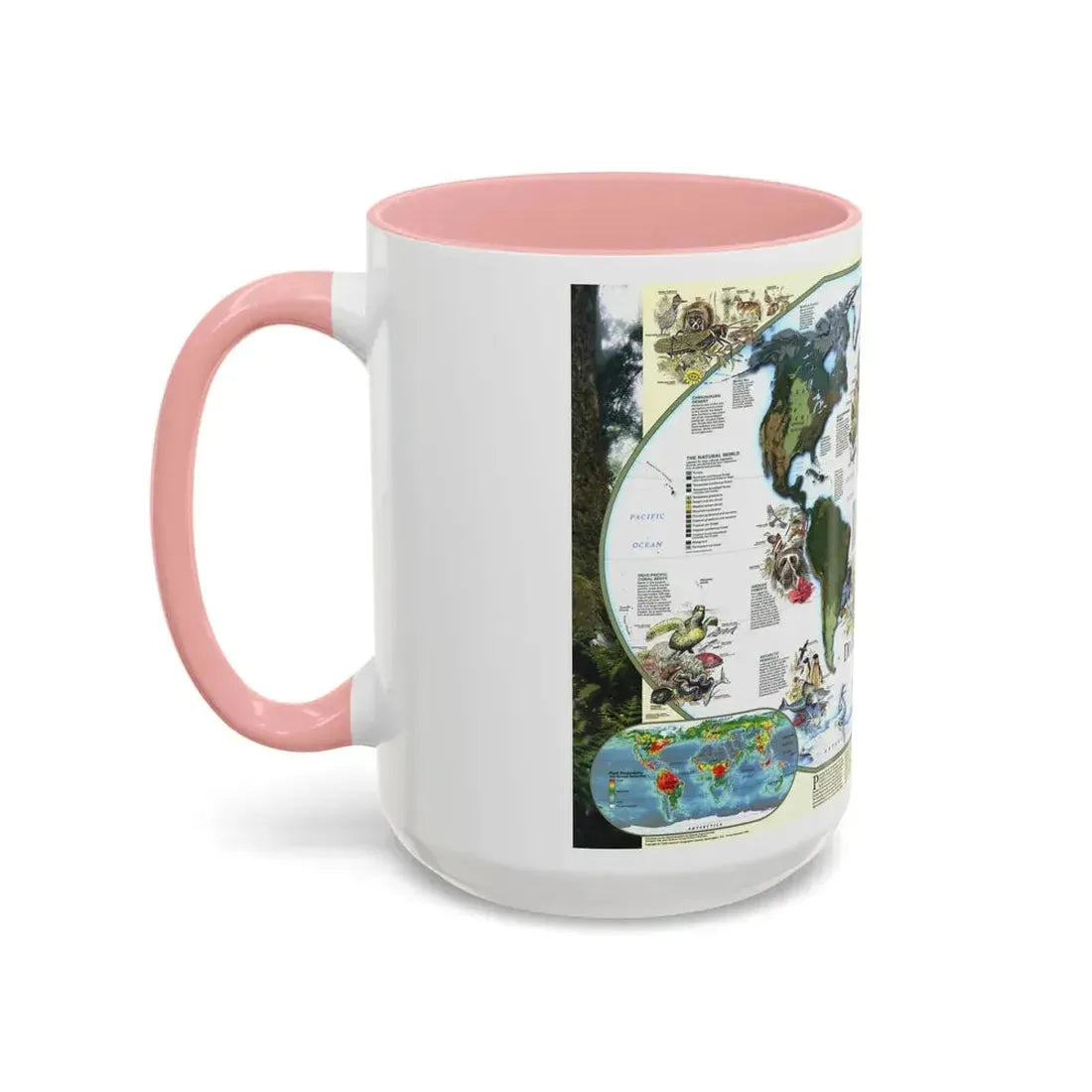 World Map - Diversity of Life (1999) (Map) Accent Coffee Mug - Go Mug Yourself