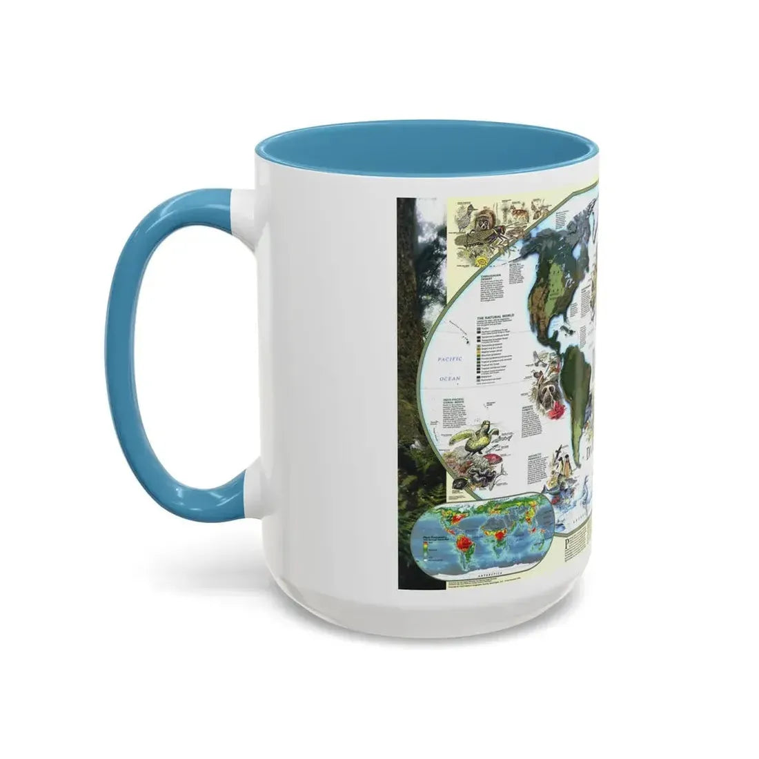 World Map - Diversity of Life (1999) (Map) Accent Coffee Mug - Go Mug Yourself