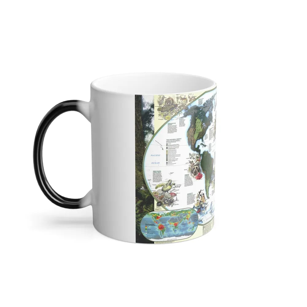 World Map - Diversity of Life (1999) (Map) Color Changing Mug 11oz-Go Mug Yourself