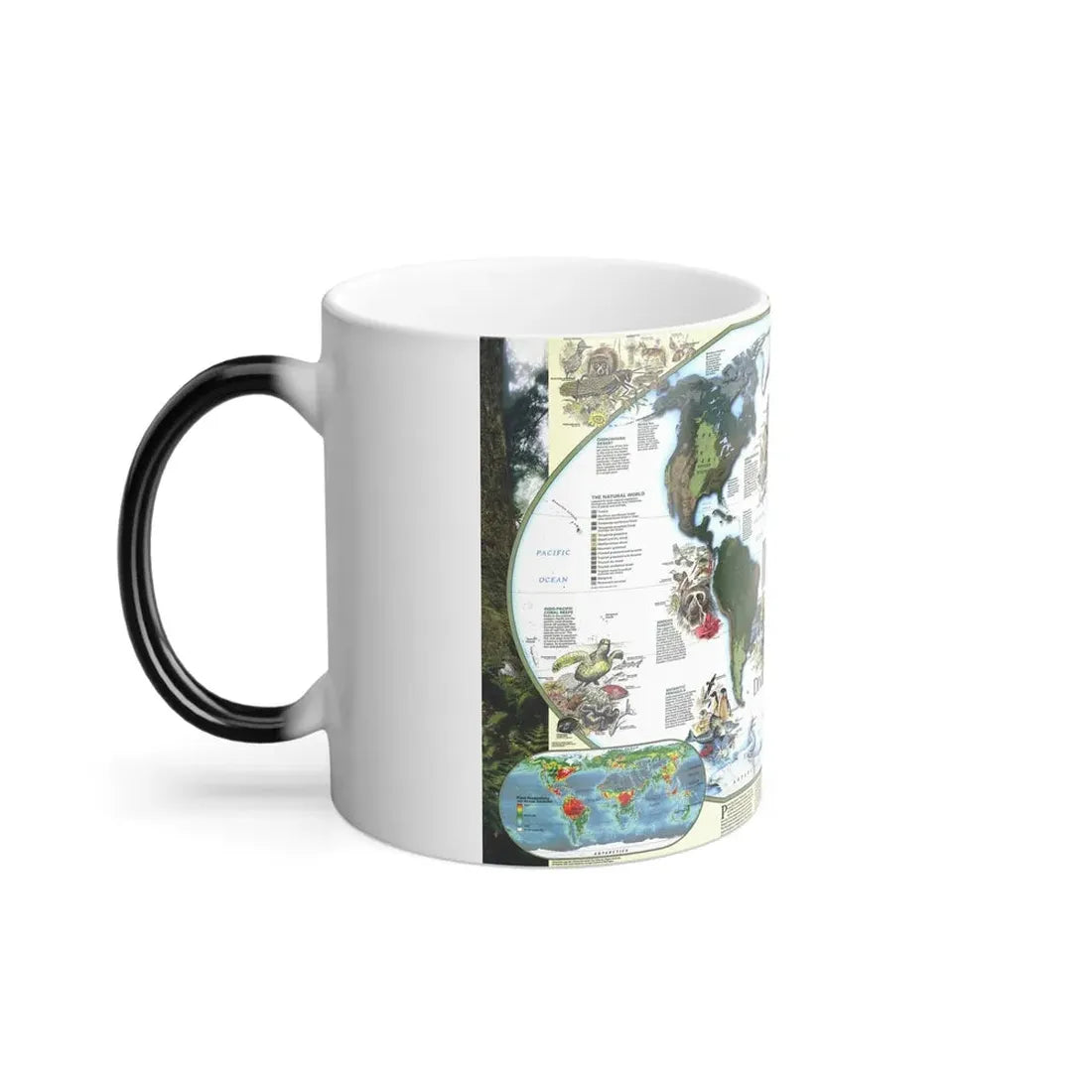 World Map - Diversity of Life (1999) (Map) Color Changing Mug 11oz - Go Mug Yourself