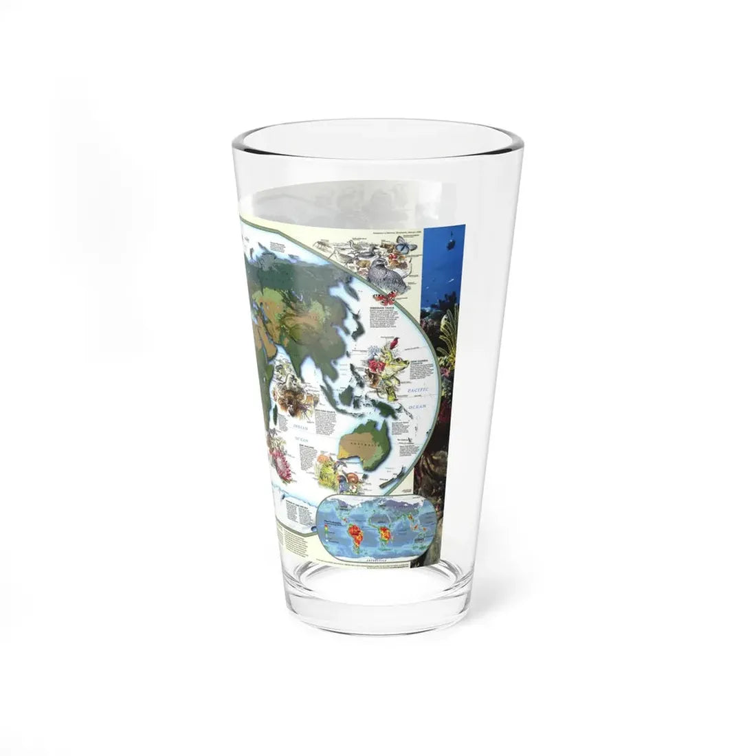 World Map - Diversity of Life (1999) (Map) Pint Glass 16oz - Go Mug Yourself