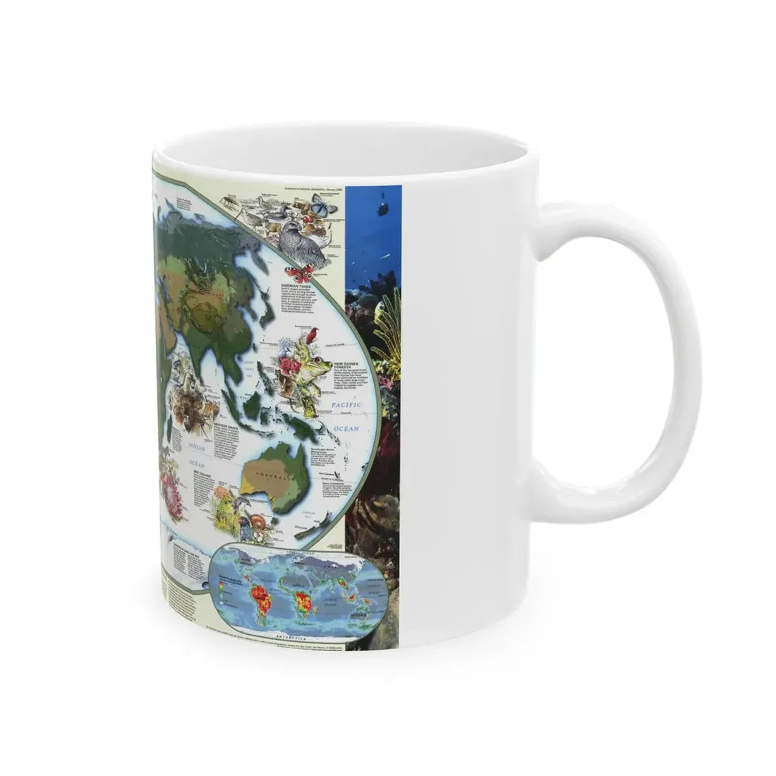 World Map - Diversity of Life (1999) (Map) White Coffee Mug - Go Mug Yourself