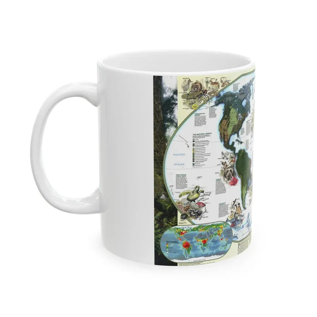 World Map - Diversity of Life (1999) (Map) White Coffee Mug - Go Mug Yourself